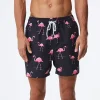 pink-flamingo